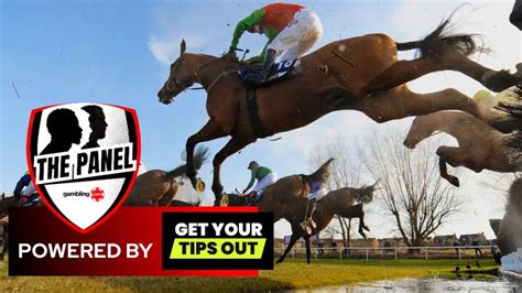 get your tips out|my horse racing tips today.